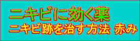 y摜̐z