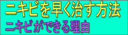 y摜̐z